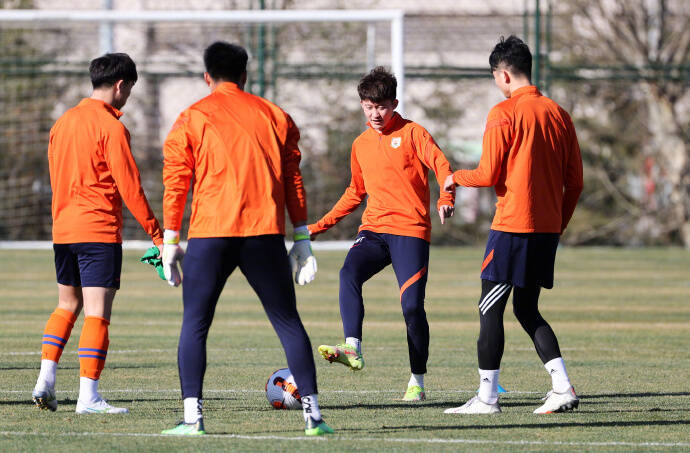 山东泰山队最新训练,泰山队近期训练