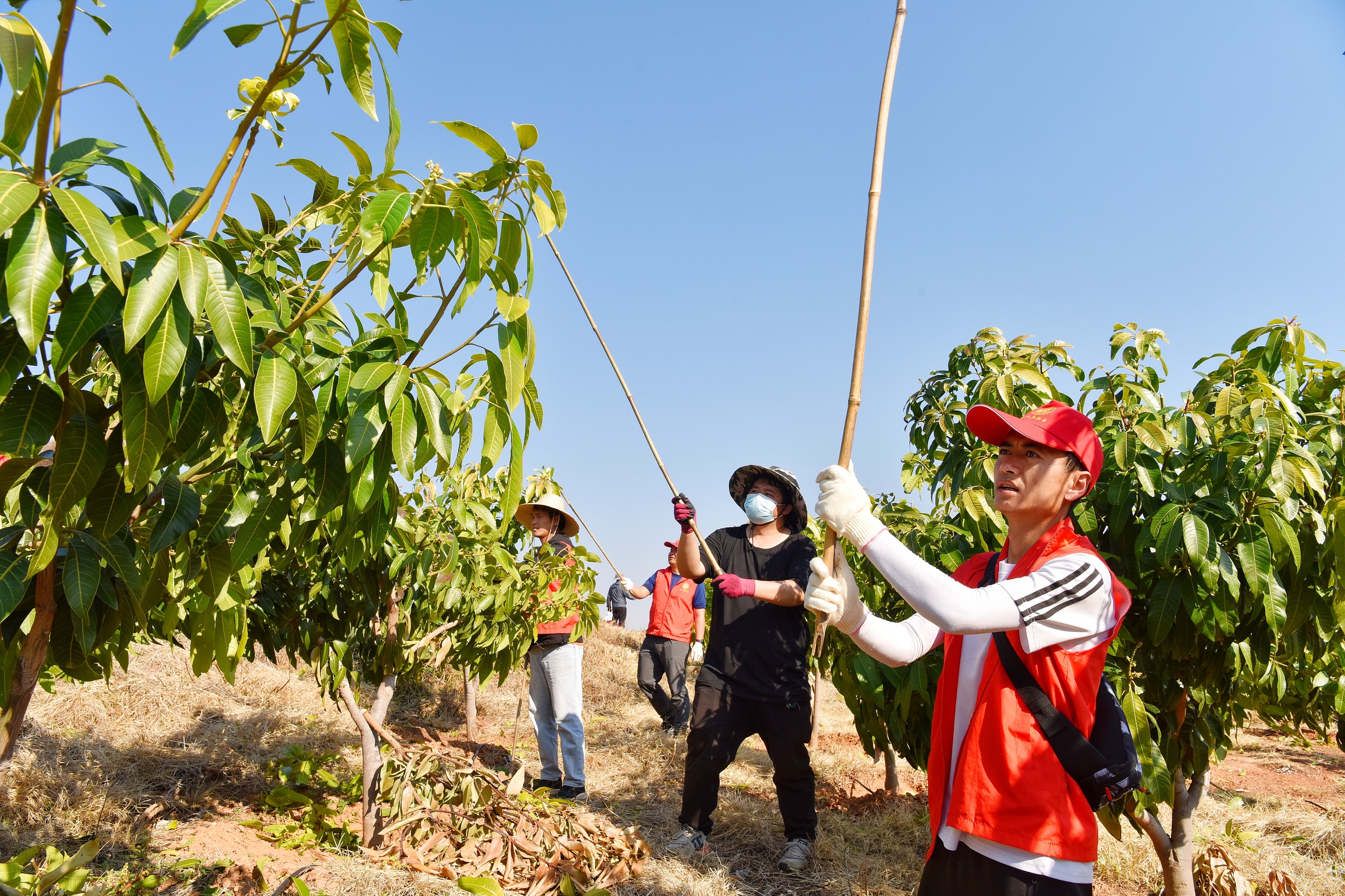 抓作风提效能促发展通知,持续转作风提效能办实事