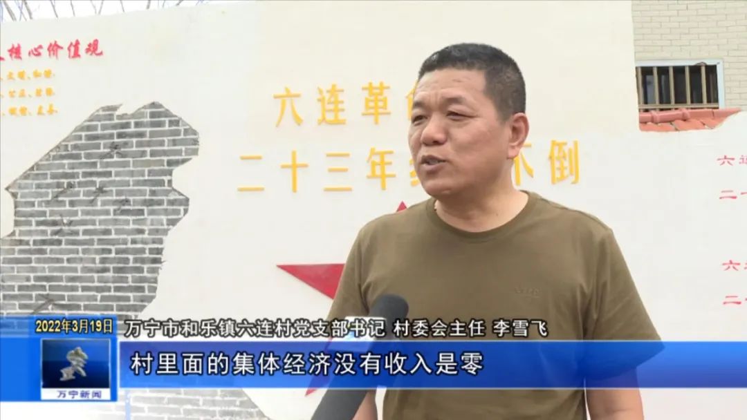 打造村级特色产业集群,因地制宜实现乡村产业兴旺