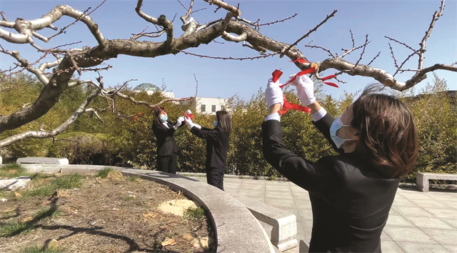 云祭扫和线下祭扫,网上祭扫平台入口免费