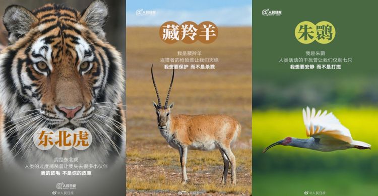 淘宝能改会员名了/“Q太郎之父”去世