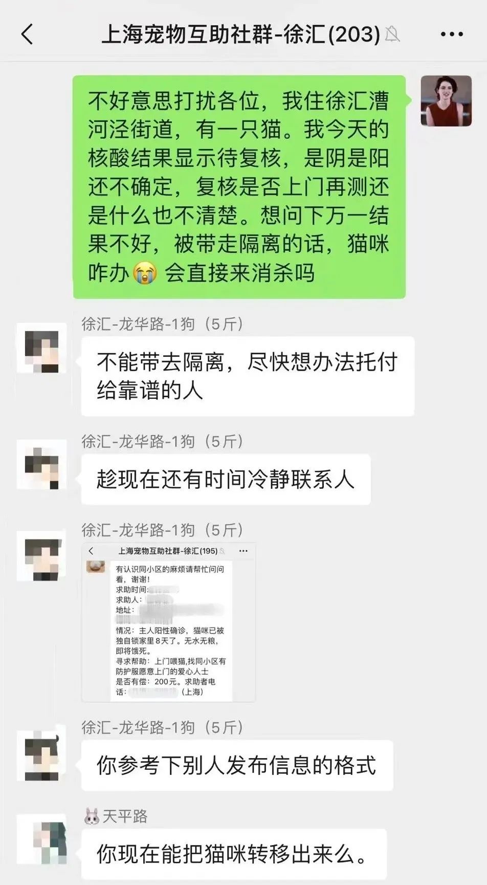 揭秘全国首个“宠物方舱”：揭秘全国首个“宠物方舱”：它们过得怎么样？它们过得怎么样？