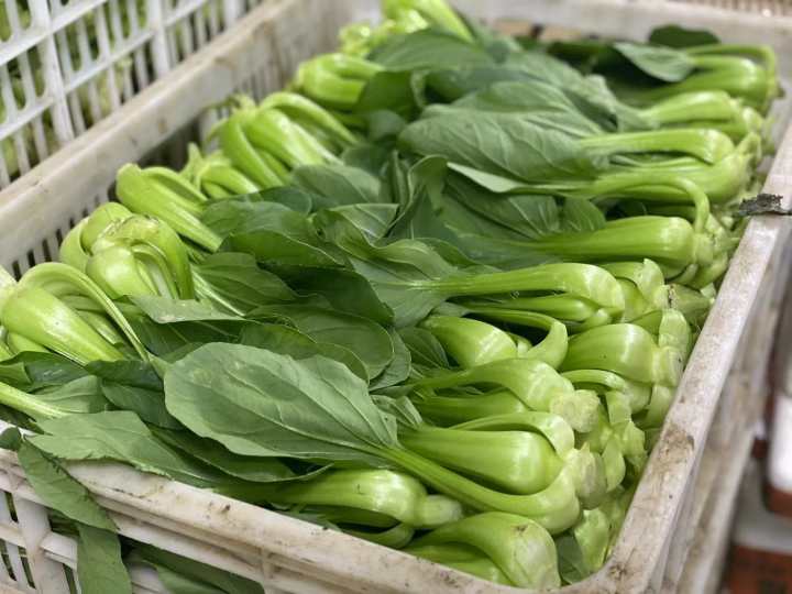 杭州限行通行证怎么办理,杭州限行紧急通行证办理