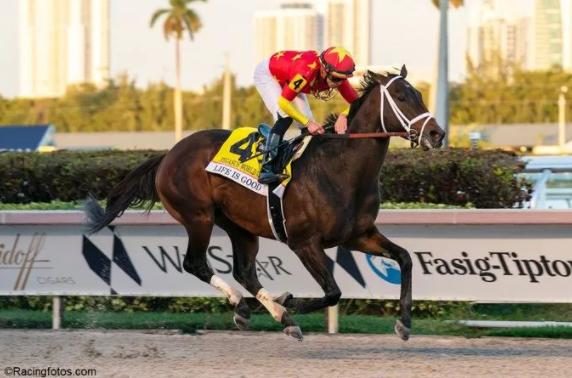 世界名贵马匹排行榜前十名,世界最高评分赛马马匹排名