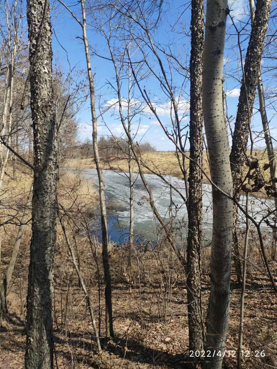 赶个晚潮流完整版,普通野钓罗非超细尾浮漂推荐