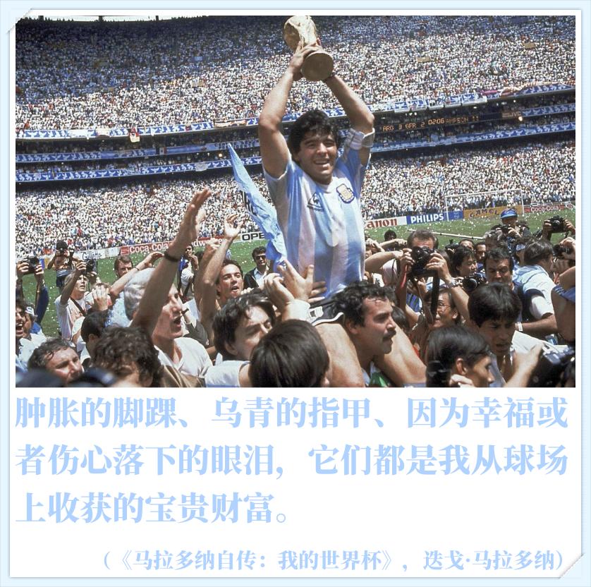 追光的人终究会光芒万丈感悟,有关追光的美文