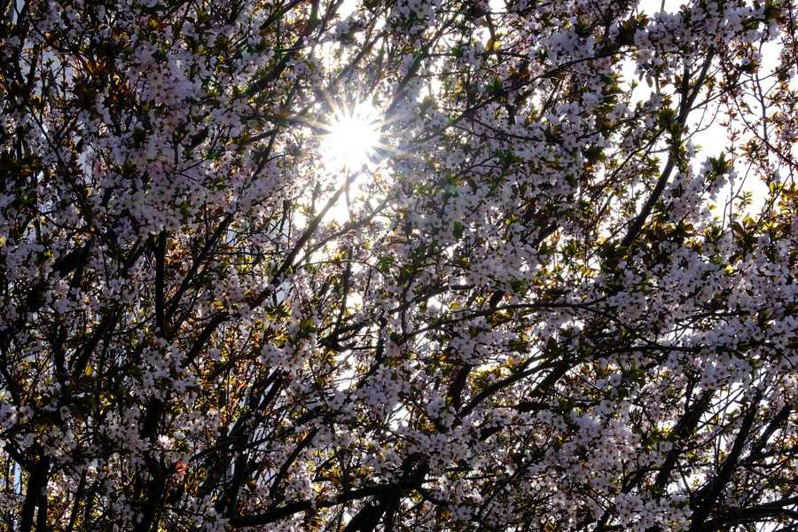 瀵屽＋x鍗″彛150-600,瀵屽＋x鍗″彛23mm鎺ㄨ崘