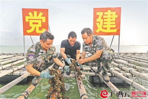 倡廉洁扬正气内容简短,清廉广西建设宣传