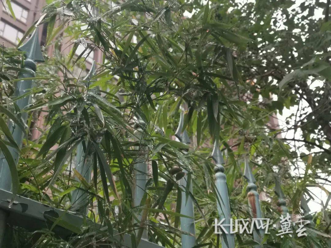 河北人,快来拍下身边的风险吧!现金红包等你拿