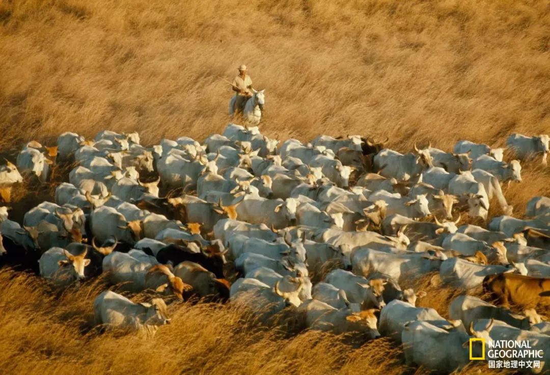 30张“最伟大的作品”