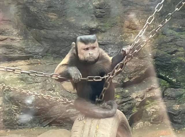 早读7点到校,早读7点半