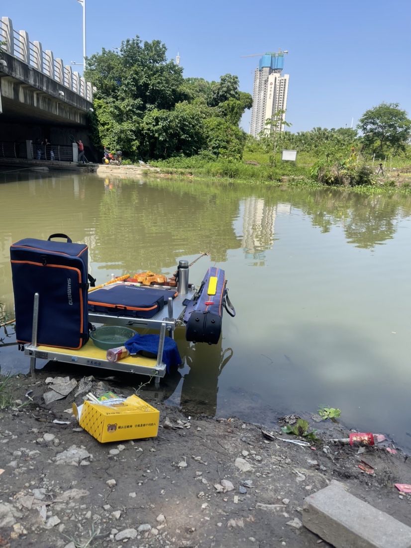 「518」小罗非垂竿自上，清道夫碳烤“美味”眼泪流