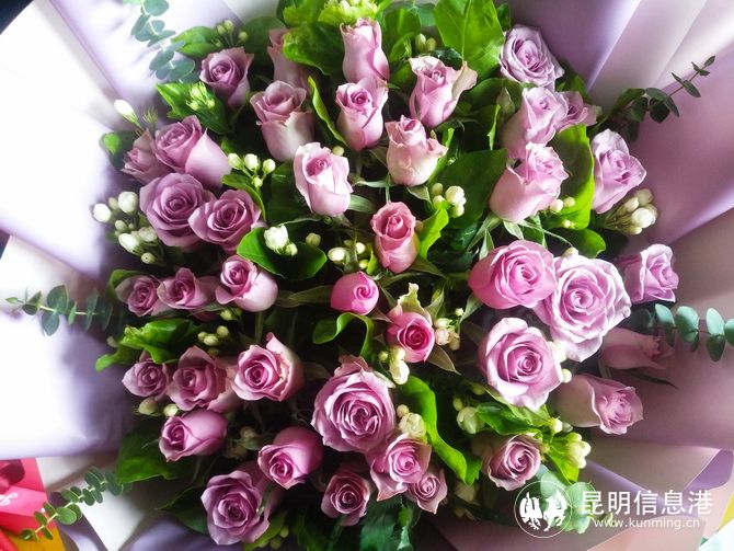 斗南花市鲜花今天价,斗南花卉市场红玫瑰今日花价