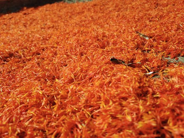 “小红花”开出好“钱”景