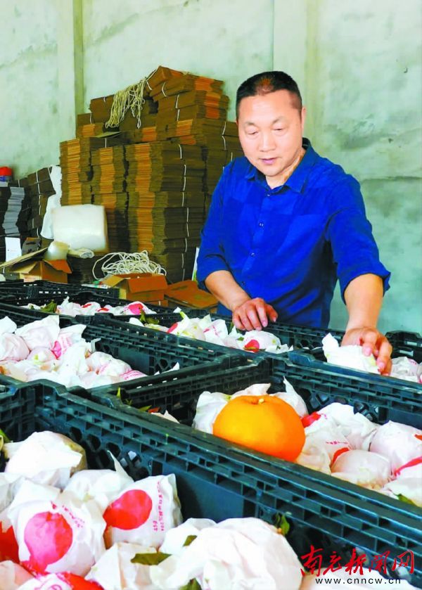 两项改革气象万千天地宽