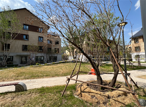 一位抗疫妈妈的日记,一位北大妈妈手记