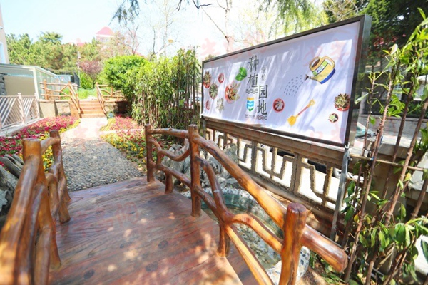 楂樿川閲忕殑鍥湰鏁欏鐮斾慨娲诲姩,浼樿川鍥湰璇剧▼