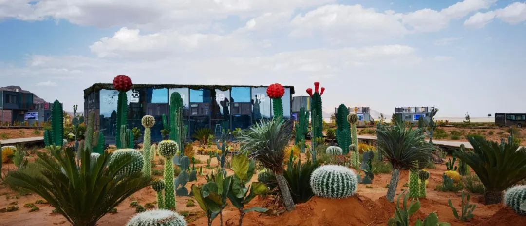 阿克苏一日游攻略最佳路线,到阿克苏旅游有哪些必去的景点