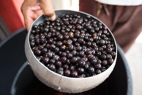 巴西阿萨伊果粉,巴西阿萨伊冰淇淋