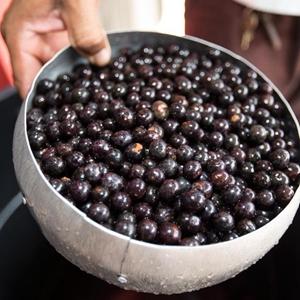 巴西阿萨伊果粉,巴西阿萨伊冰淇淋