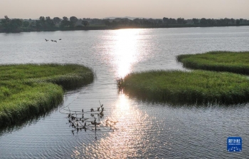 陕西靖边：芦河湿地水清景美「图」