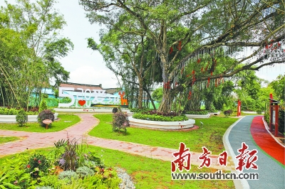 联村联建,联村党总支简介