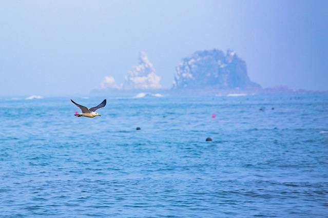 大连海岛旅游推荐,大连最美的海岛是哪里