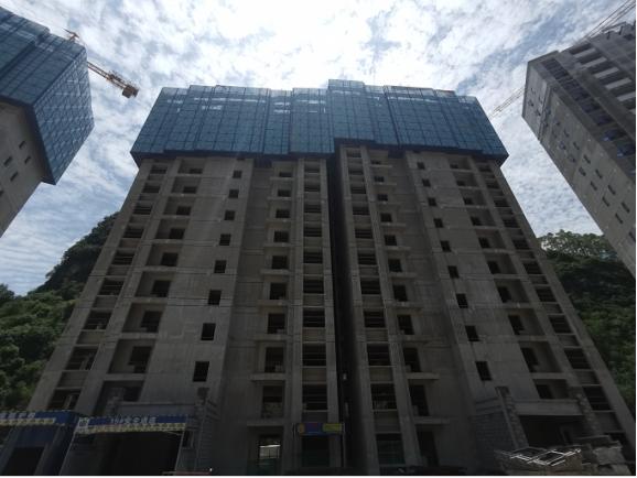 广西河池碧桂园天麓山,河池碧桂园天麓山9街是别墅吗