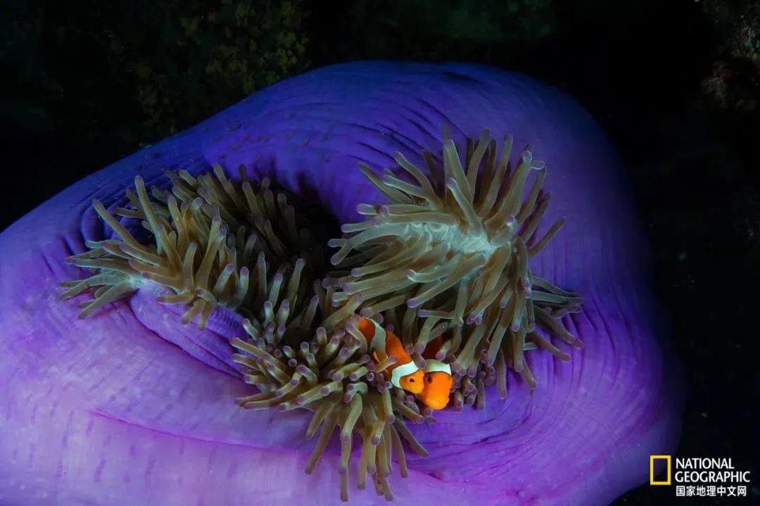 最伟大的作品6张照片,30秒最伟大的作品