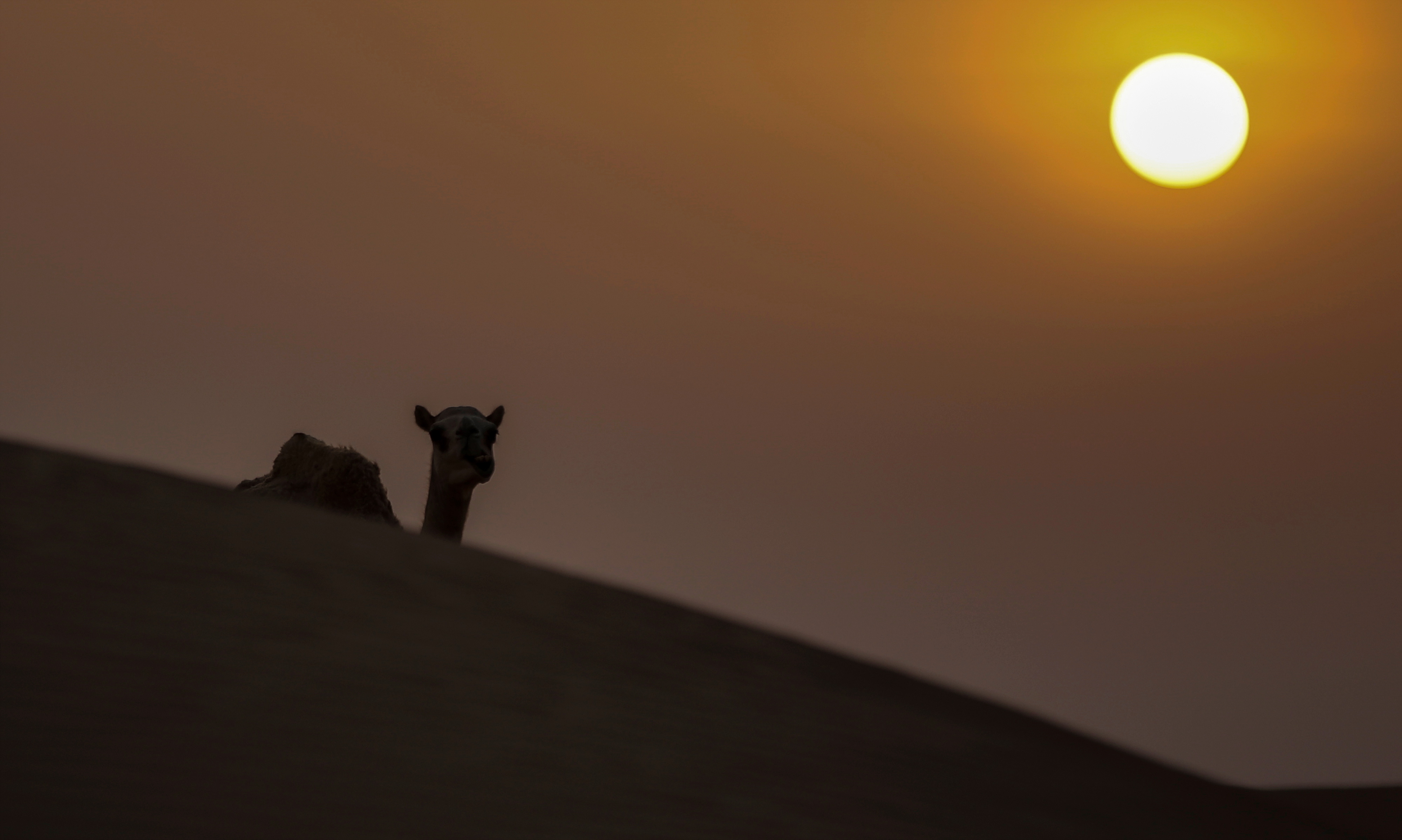 超级月亮即将现身夜空是真的吗,今年最大超级月亮将登场意味着啥