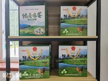 大音盛晏合作社：持续推进“种养产销”一体化产业链建设，蛋品深加工车间已开始建设