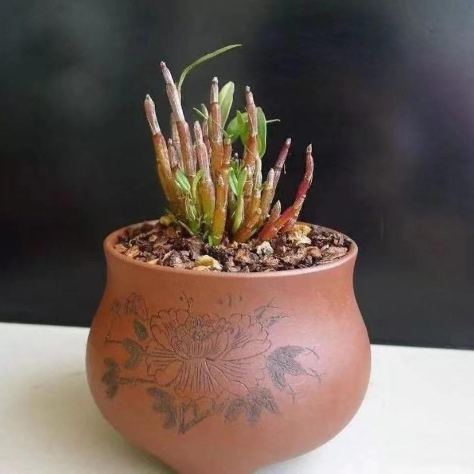 杩欏懗涓嵂璁╀綘鐫″緱鏇撮,涓嵂閱嶉啇鐏岄《