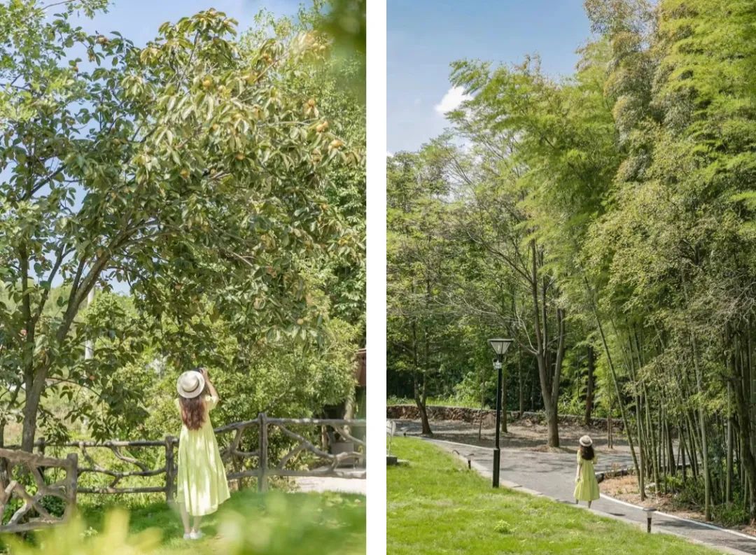 吃辣全省第一！避暑可以打满分！这个冷门小县城太上头了