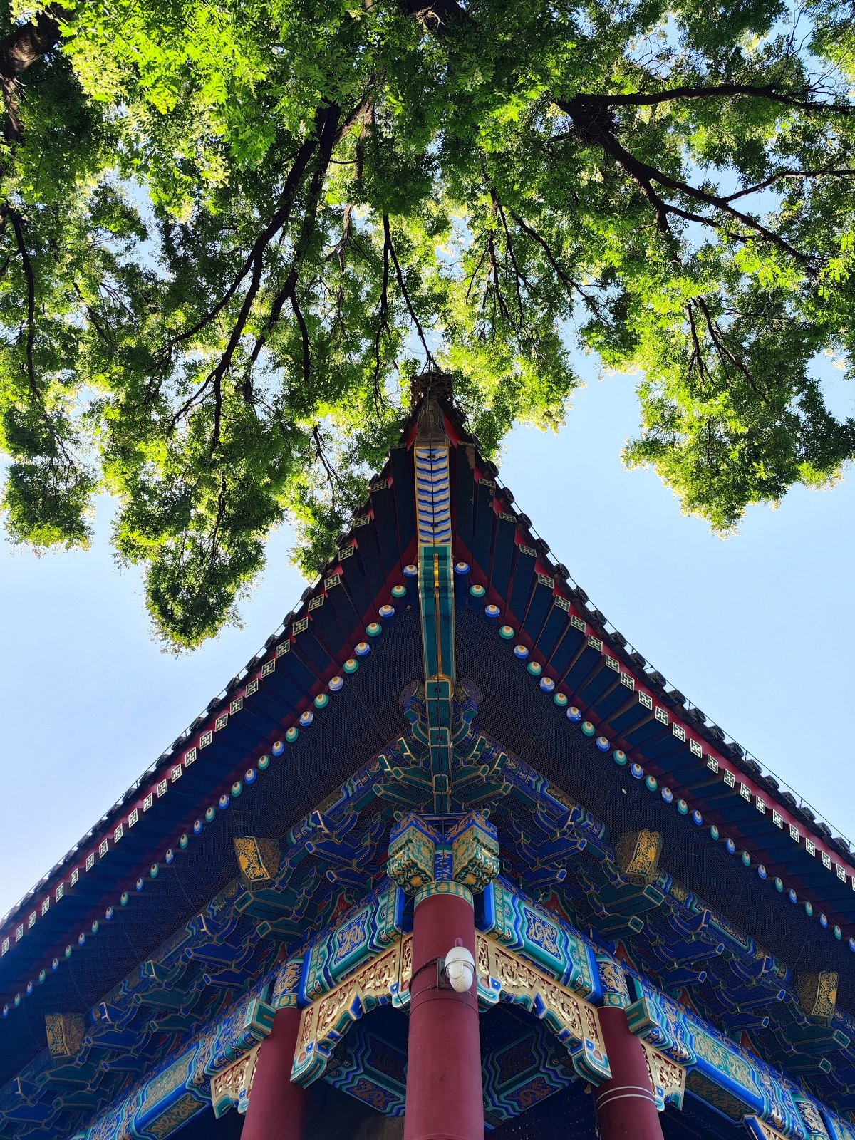 灏忕背12sultra鎷嶇収鍘绘帀灏忕背logo,灏忕背灏忕背12sultra璇勬祴