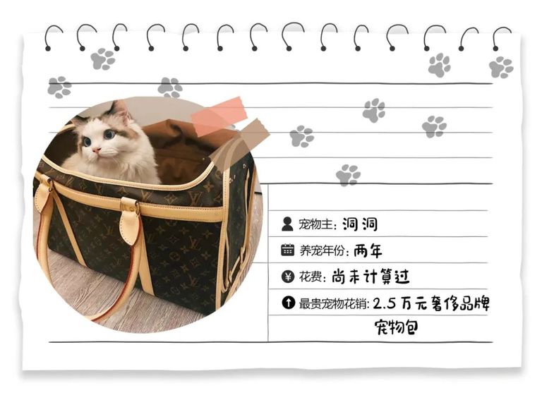 给宠物买奢侈品,给狗买奢侈品