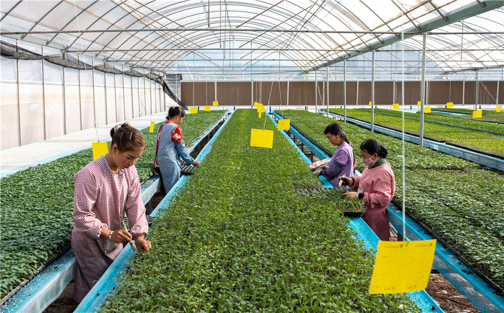 新韵律诗歌梦起东方人类故乡