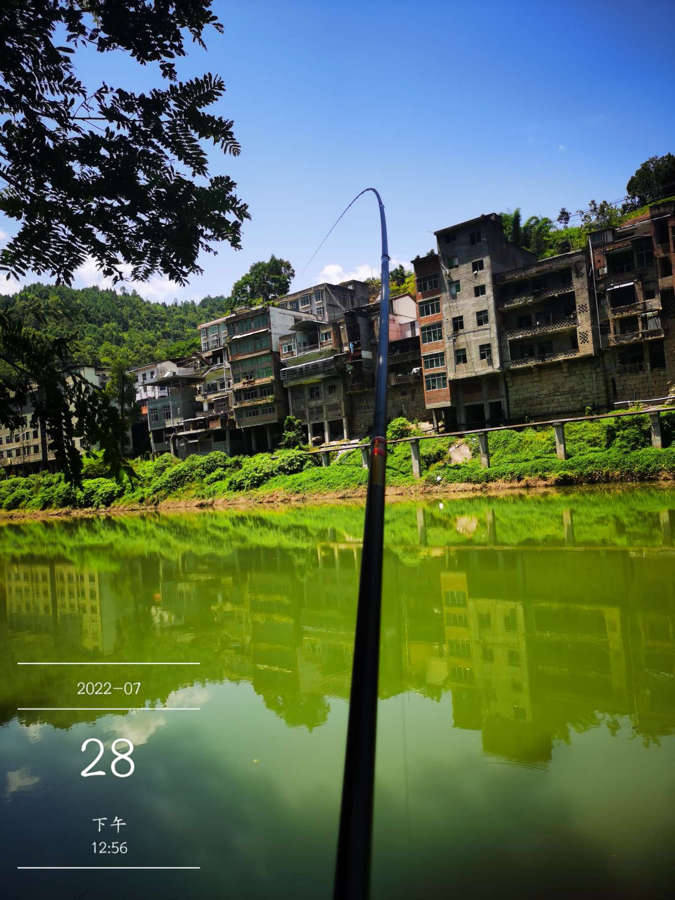 「七月鱼获」骗最憨的巨草！上最憨的洋当