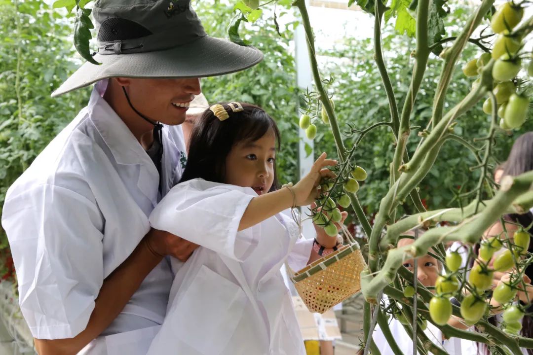 大理弥渡数字农业公园抖音团购,大理弥渡数字农业公园优惠