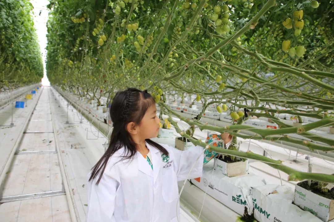 大理弥渡数字农业公园抖音团购,大理弥渡数字农业公园优惠