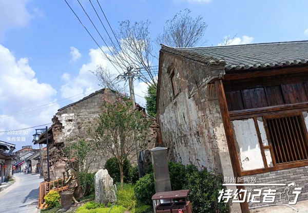 特约记者行,特约记者团