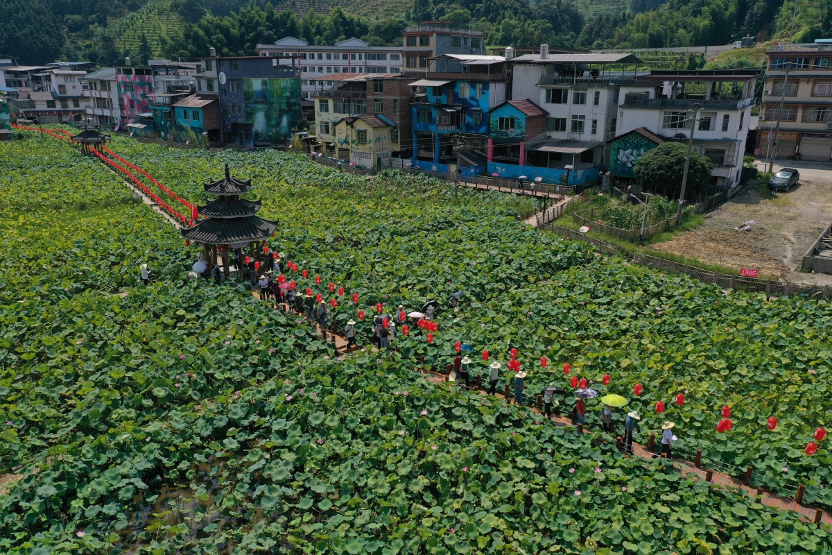 最美中国广西美景,大美中国广西贵港视频