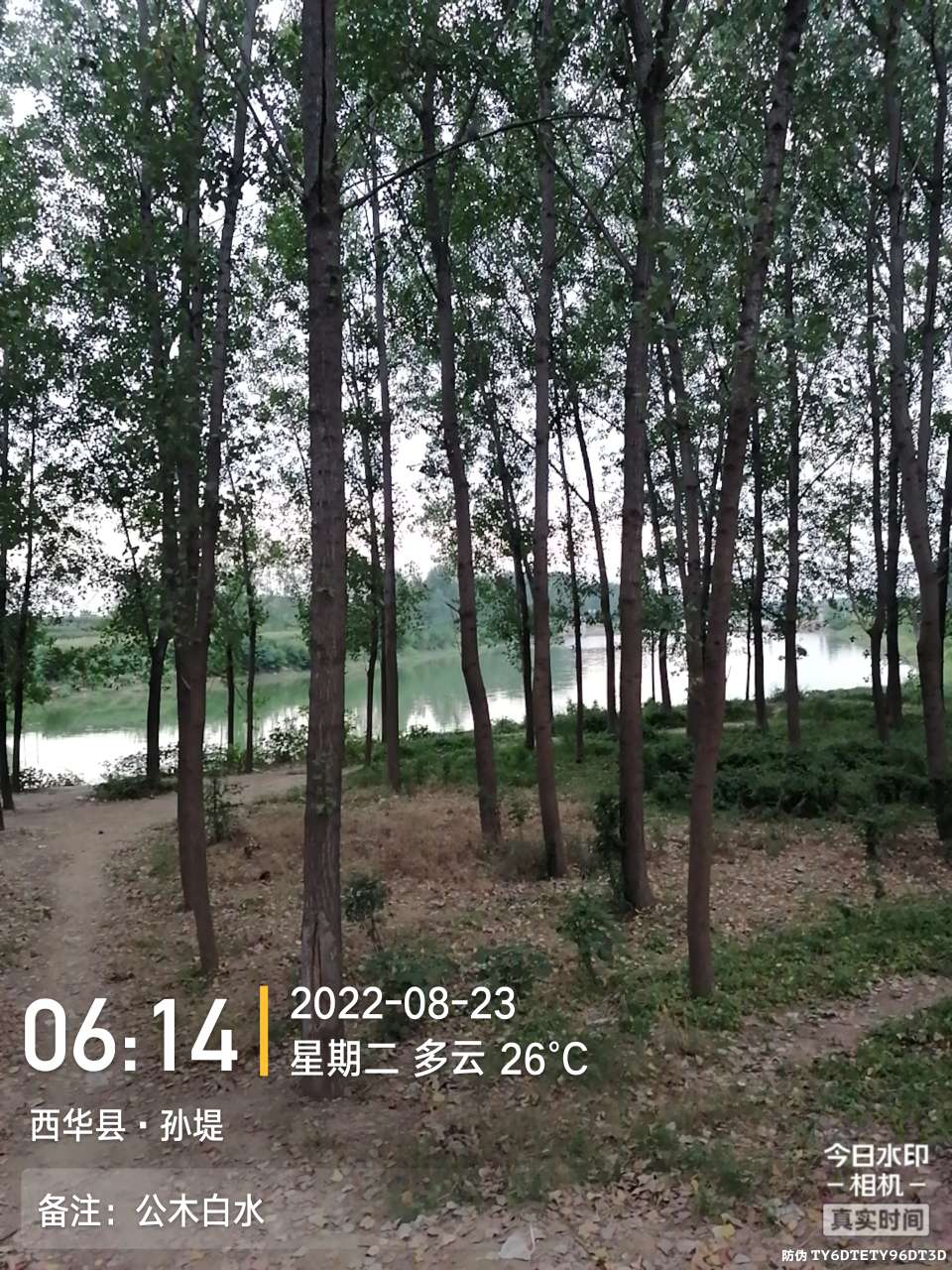 8月里面的鱼怎么钓,钓位选什么鱼最好