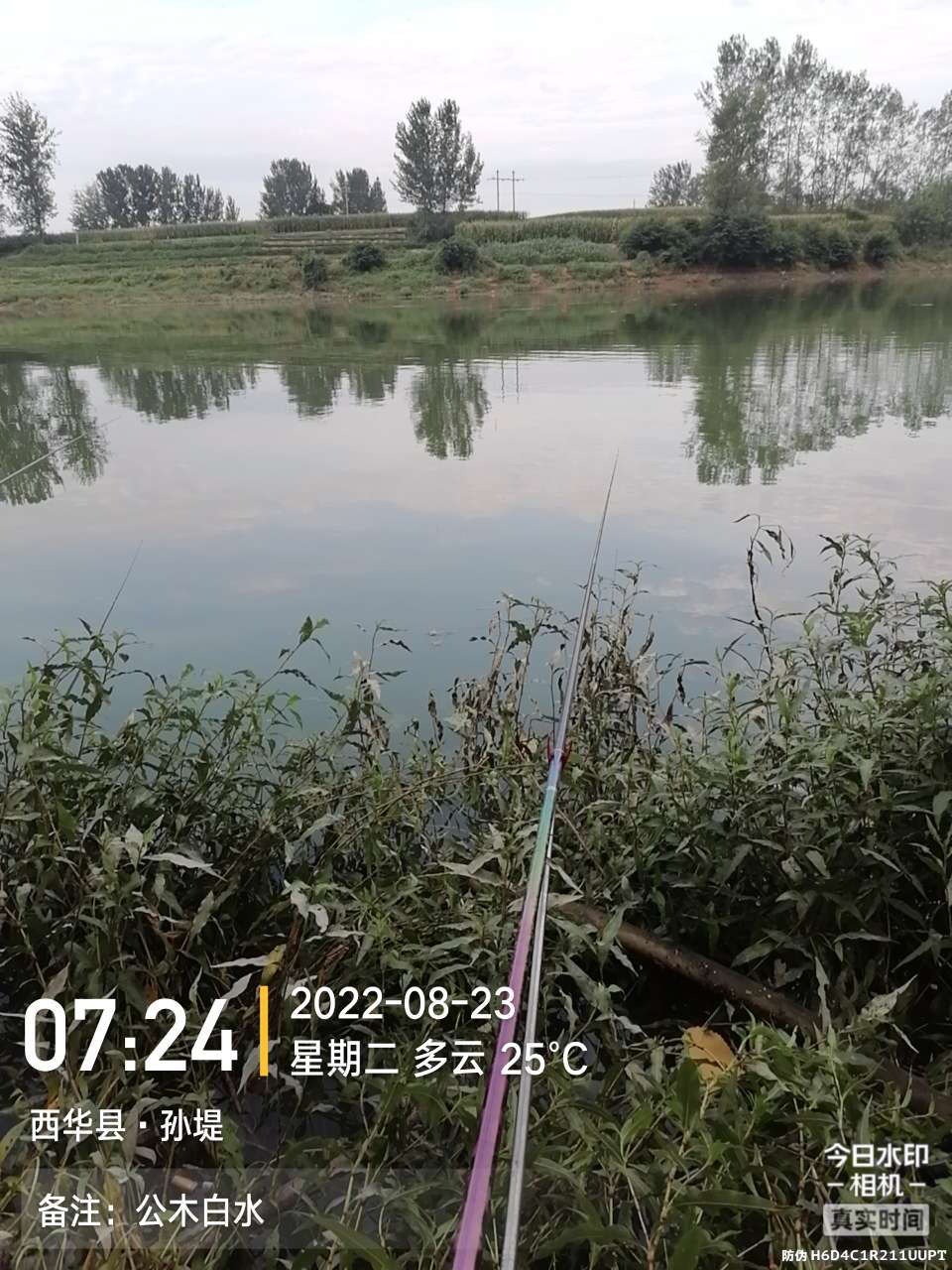 8月里面的鱼怎么钓,钓位选什么鱼最好