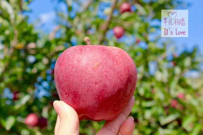 我们这十年领导调研第几集,我们这十年电视剧领导调研第几集