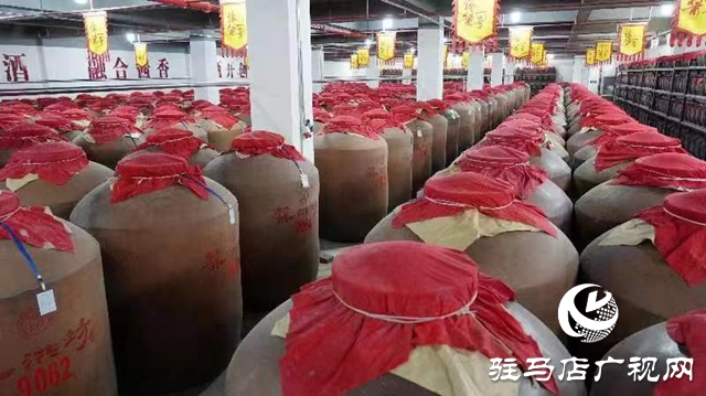 新蔡县经济发展水平怎么样,新蔡县发展史