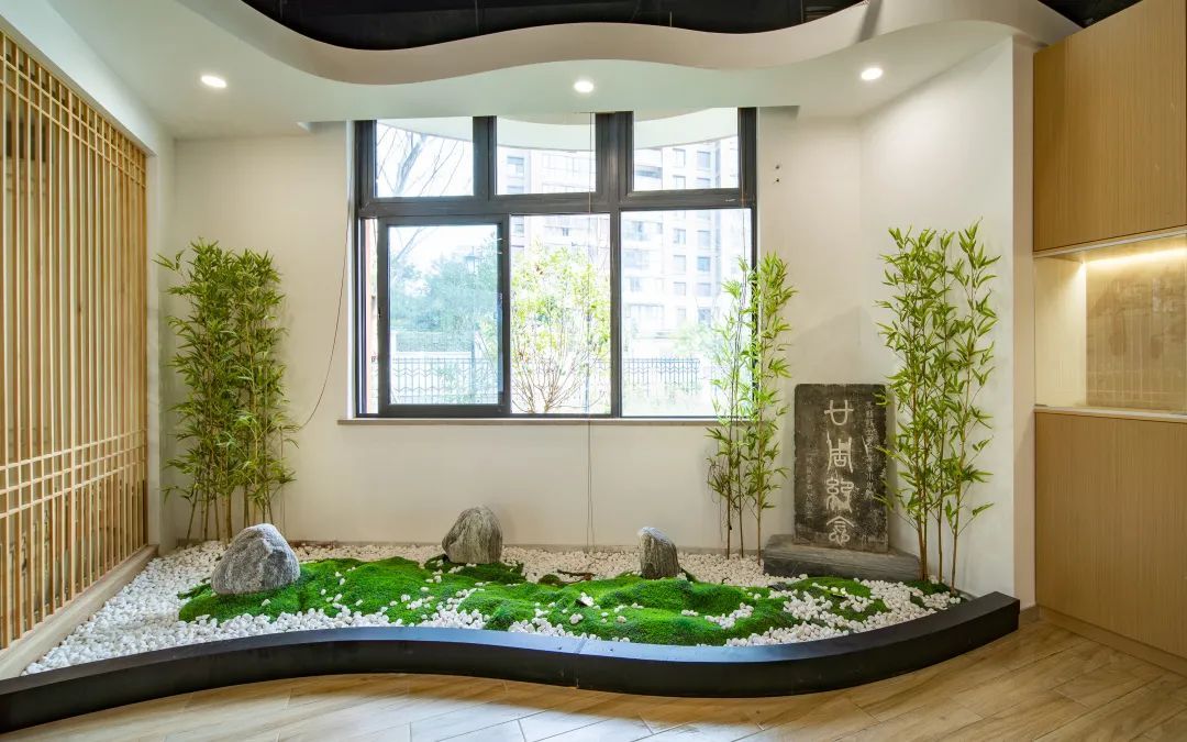 苏州即将腾飞的学校,苏州园区新添一所九年制学校