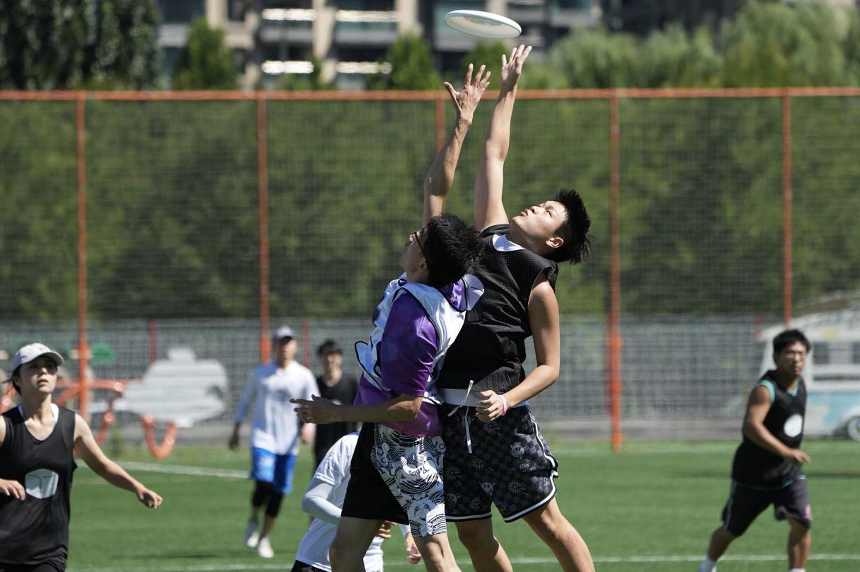 飞盘北京公开赛,飞盘活动北京