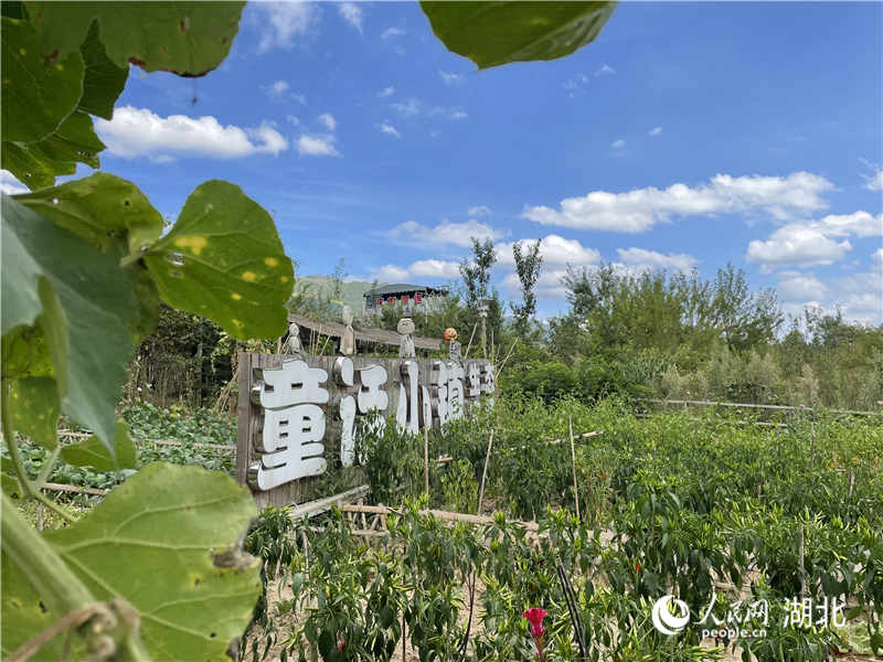 利川绿色经济规划,绿色经济促进经济发展