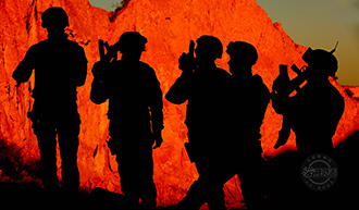 蜜蜂在金黄油菜花上采蜜视频,蜜蜂在油菜花采蜜