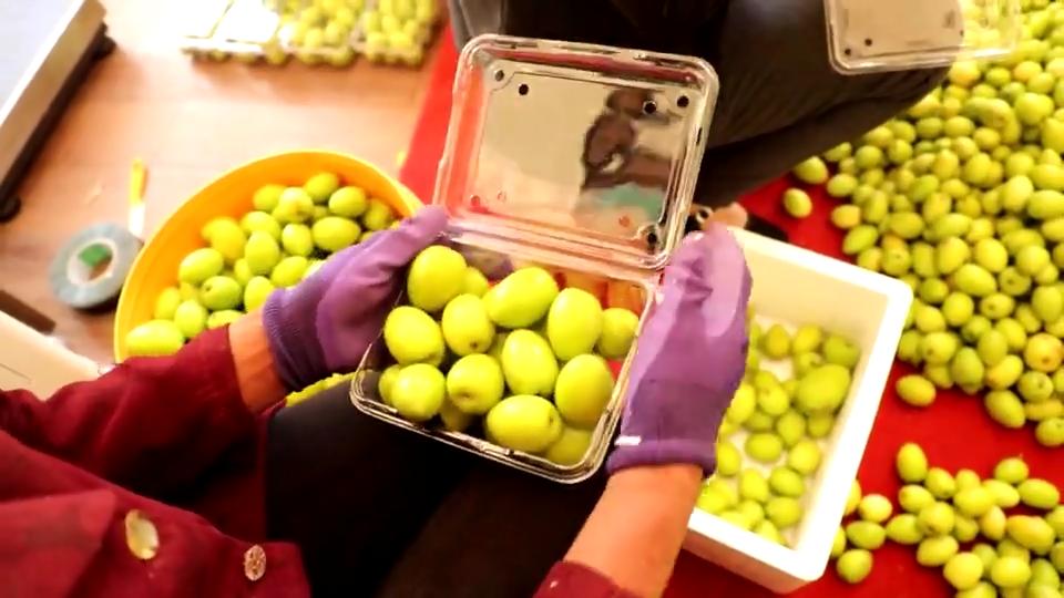 果蔬产业推动乡村振兴,发展果蔬产业助力乡村振兴